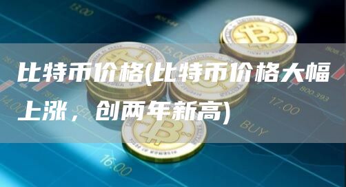 比特币价格 - 比特币价格大幅上涨，创两年新高