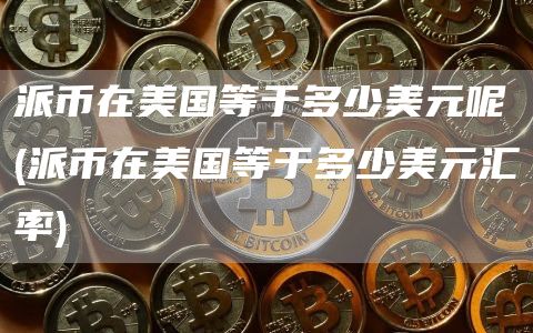 派币在美国等于多少美元呢 - 派币在美国等于多少美元汇率