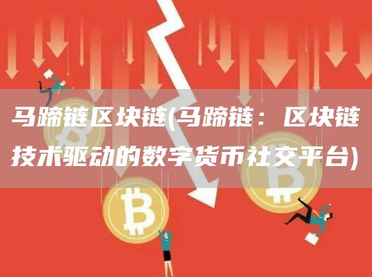 马蹄链区块链 - 马蹄链：区块链技术驱动的数字货币社交平台