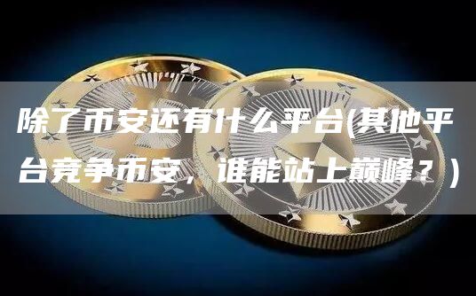 除了比特币还有什么平台 - 其他平台竞争比特币，谁能站上巅峰？