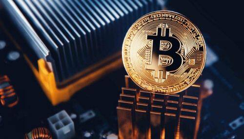 Bitcoin Whale在价格波动中购买1590 BTC下一步是什么-第1张图片-芝麻交易所下载