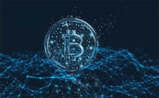一文了解币圈灰犀牛事件和黑天鹅事件的区别在哪里?